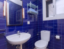 a blue and white tile a sink and a mirror
